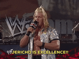 jericho is excellence GIF by WWE