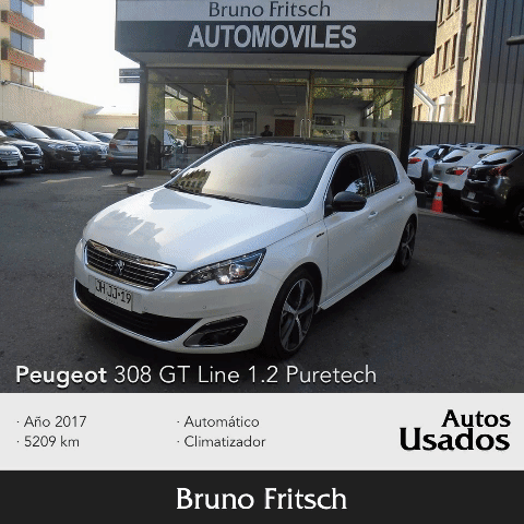 Peugeot Concepcion GIF