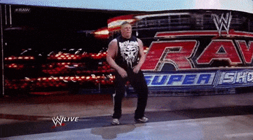 Brock Lesnar Wrestling GIF by WWE