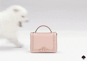 oh my god omg GIF by kate spade new york