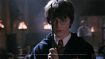 Harry Potter GIF by HBO