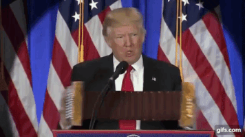 Donald Trump GIF