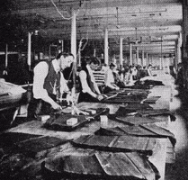 clothing factory GIF by Archives of Ontario | Archives publiques de l'Ontario