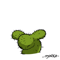 Happy Cactus GIF by marko