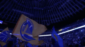 kevin durant flags GIF by NBA