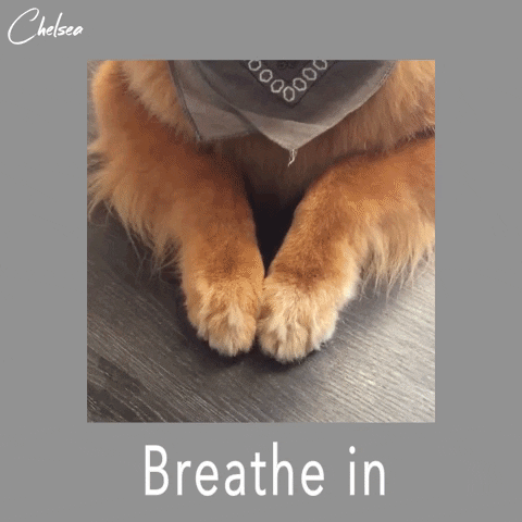 netflix breathe in out GIF by Chelsea Handler