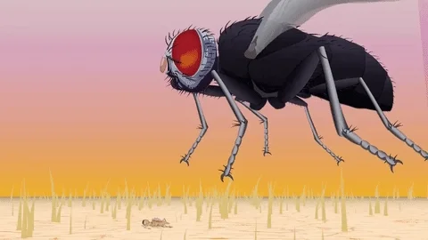 slow motion fly GIF by South Park