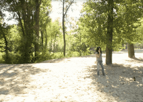 ziggy_iggy_lou  GIF