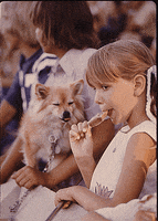 Ice Cream Dog GIF by US National Archives