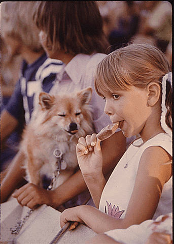 Ice Cream Dog GIF by US National Archives