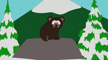 bear snowcapped mountains GIF by South Park