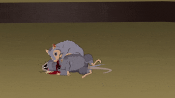 body rat GIF by South Park 