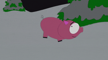 pig pointing GIF by South Park 
