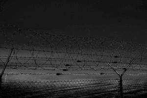 sorindumitrascu-64ac anp justitie penitenciare GIF