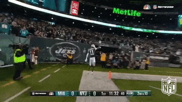 Excited New York Jets GIF by NFL