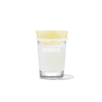 shot drinks GIF by Absolut Vodka