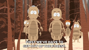 get out forest GIF by South Park 
