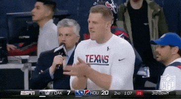 Houston Texans Applause GIF by NFL