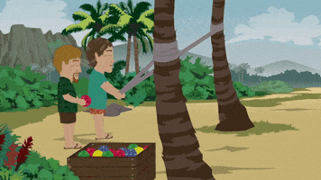 palm trees island GIF by South Park 