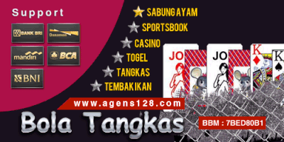 selvisilvia agens128-bola-tangkas GIF