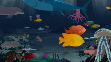 water ocean GIF by South Park 