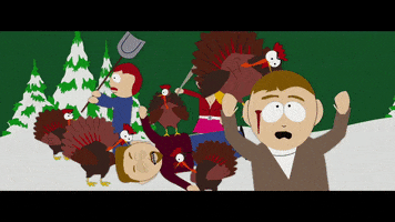 fight turkey GIF by South Park 