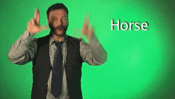 Sign Language Horse GIF by Sign with Robert