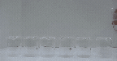 keemyaay  GIF