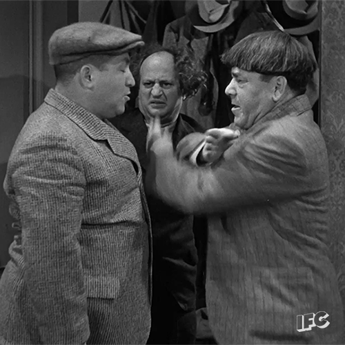 Three Stooges Stooge GIF by IFC