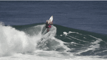 surfing who is job GIF by Red Bull