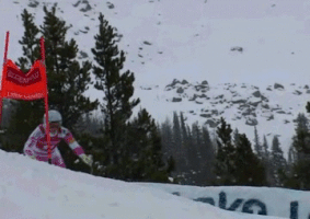 talbotbohemiacardinal  GIF