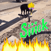chill dogs GIF