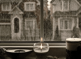 comfy  GIF