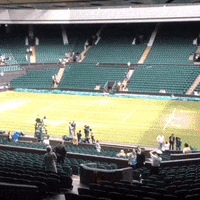 tennis rufus GIF by Wimbledon