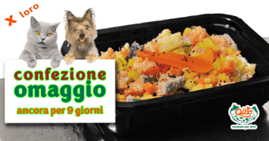 Everyday qibo promozione primi assaggi GIF