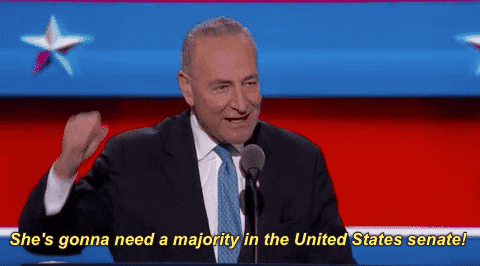 democratic national convention
