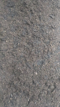 manstuff manstuff GIF