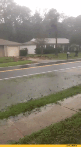 kooky weather GIF