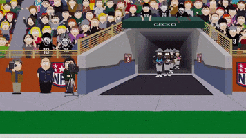Happy Oakland Raiders GIF by South Park