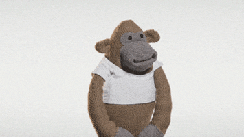 proud monkey GIF by PG Tips