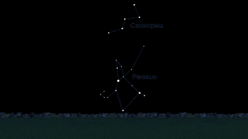 meteor shower jpl GIF by NASA