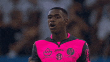 ligue 1 soccer GIF by Toulouse Football Club