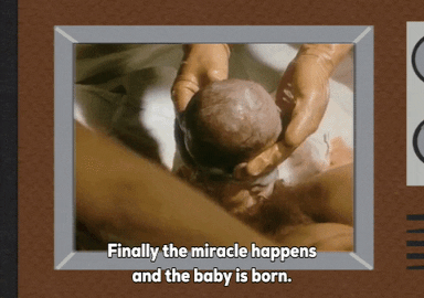 Image for funny baby announcement gif