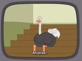fox laughing GIF by Family Guy