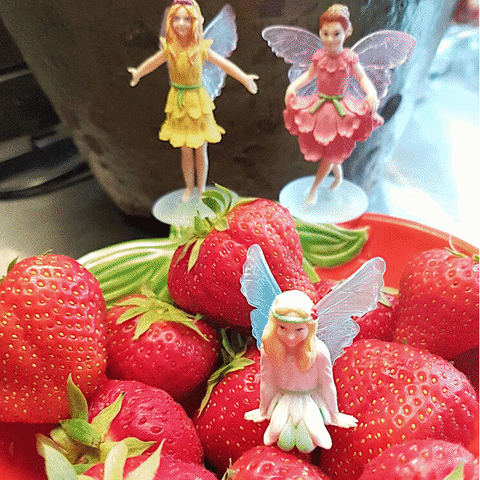 myfairygarden myfairygarden GIF