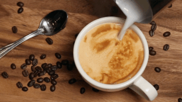 cheesecake  GIF