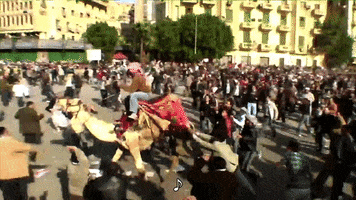 horse crowd GIF by South Park 