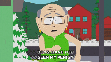 have you seen it? GIF by South Park 