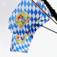 Flag Wind GIF by Bayerischer Rundfunk