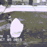 200.gif?cid=fc005b086000e9e0b196092e19e05f49d3369a25d99bad62&rid=200.gif&ct=g